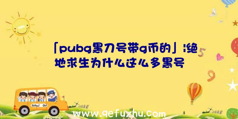 「pubg黑刀号带g币的」|绝地求生为什么这么多黑号